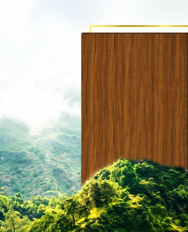 Top Ten ACP (Aluminum Composite Panels) Sheets Manufacturers in India